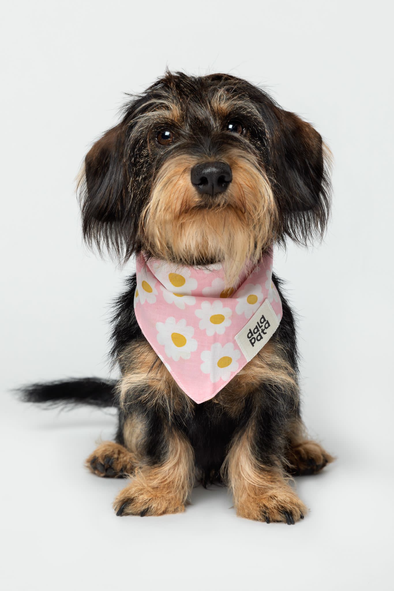 Bandana rosa flores mascotas - Accesorios para mascotas